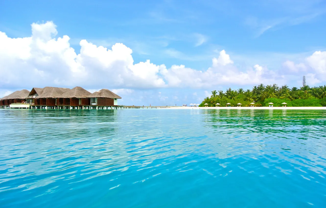 Фото обои Облака, Деревья, Лето, Пальмы, Мальдивы, Maldives, Summer, Palm