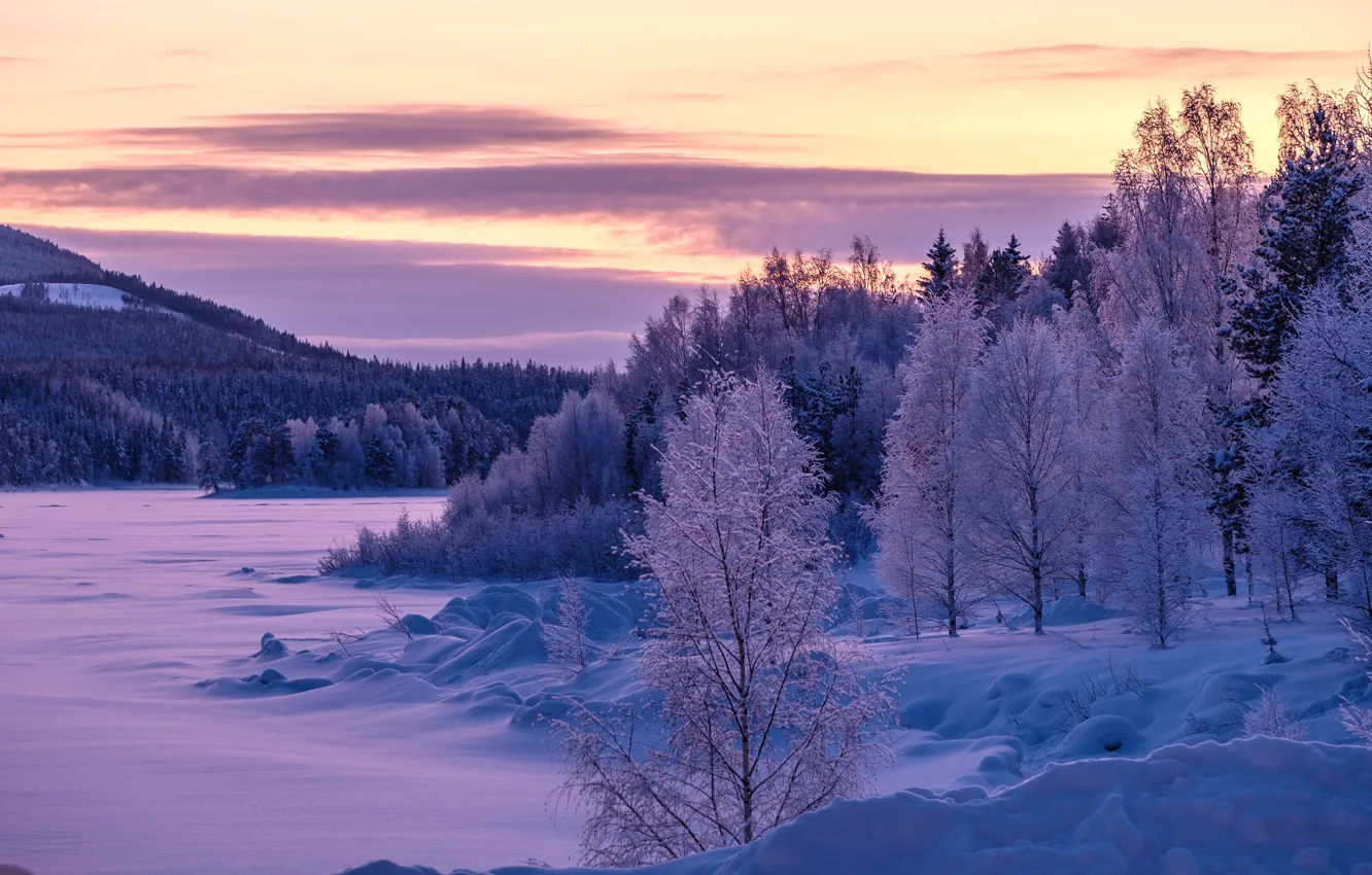 Фото обои зима, иней, лес, облака, снег, деревья, закат, озеро