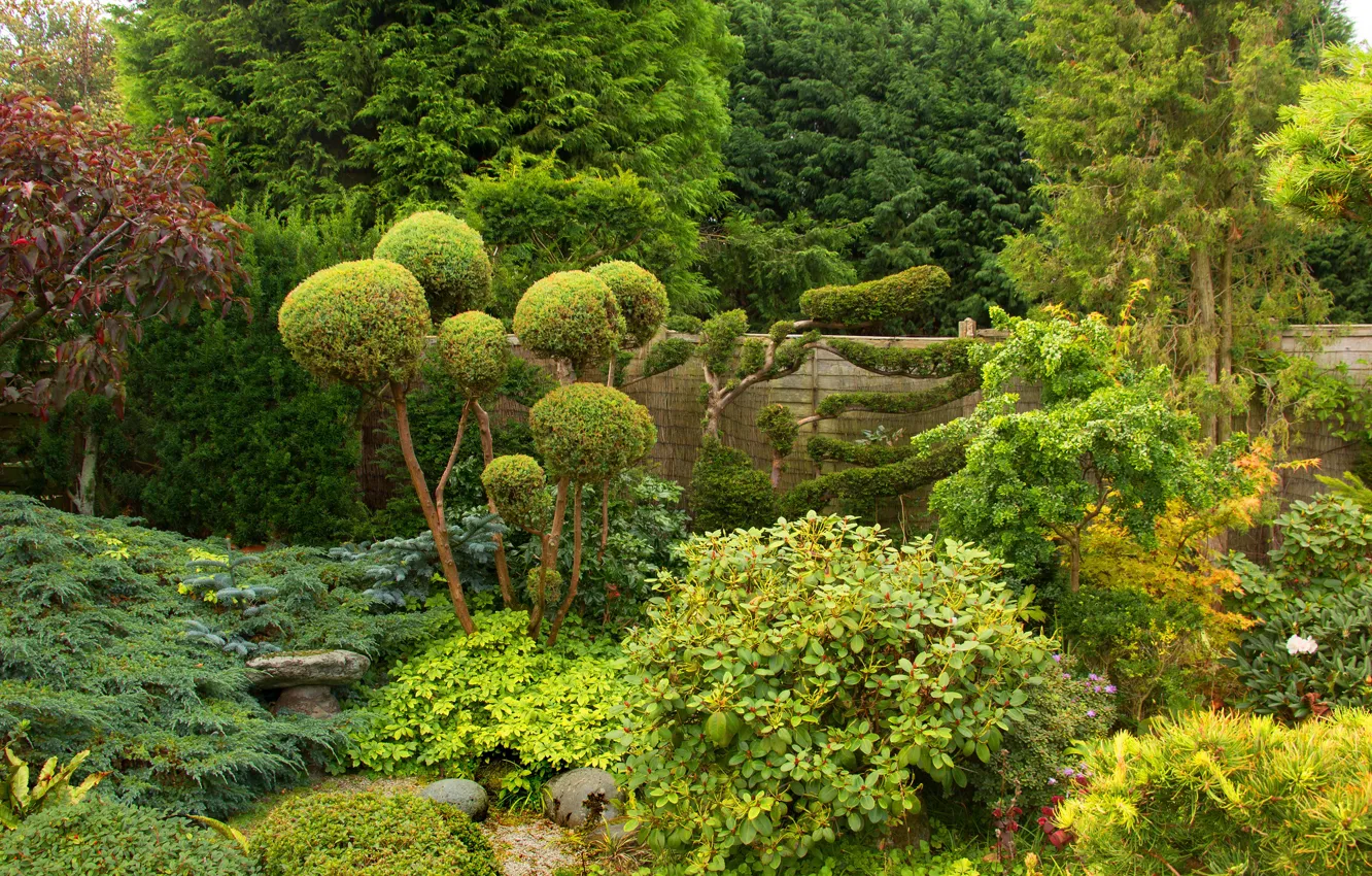 Фото обои зелень, деревья, парк, забор, Англия, кусты, West Midland Safari Park, Bewdley