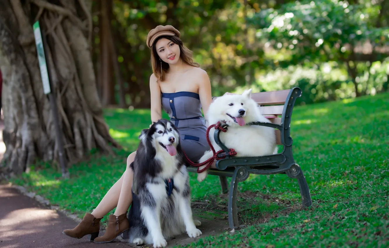 Фото обои собаки, девушка, азиатка, скамья