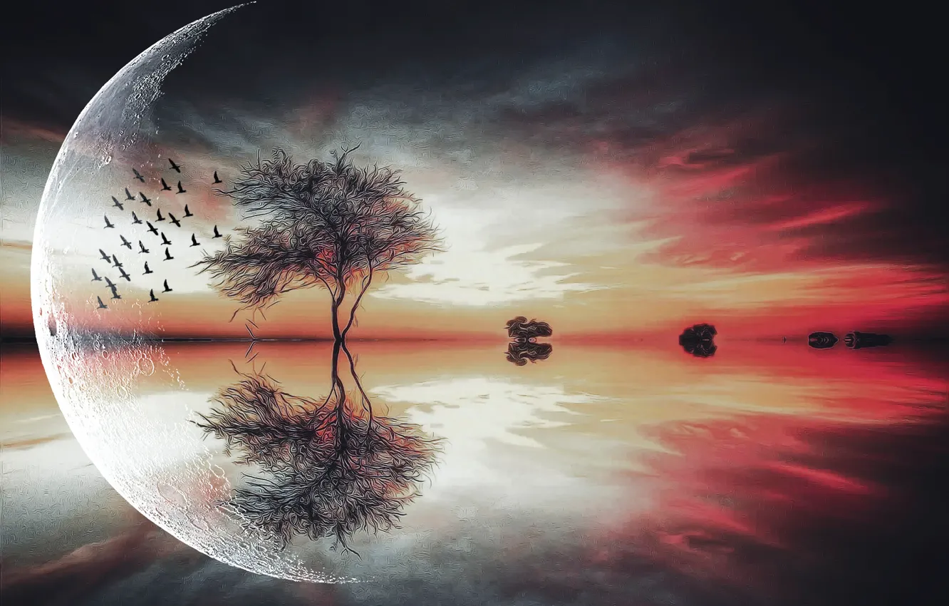 Фото обои деревья, птицы, луна, Fantasy