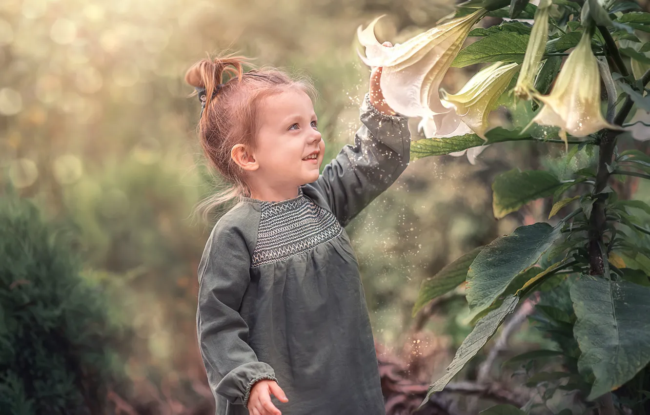 Фото обои цветы, природа, пыльца, лилии, девочка, малышка, ребёнок, боке