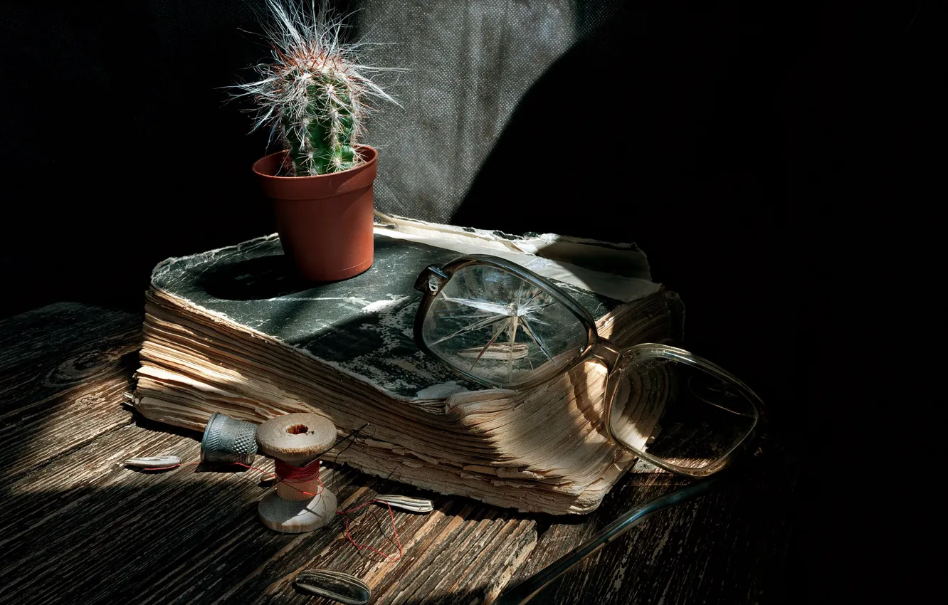 Фото обои кактус, очки, книга, натюрморт, нитки
