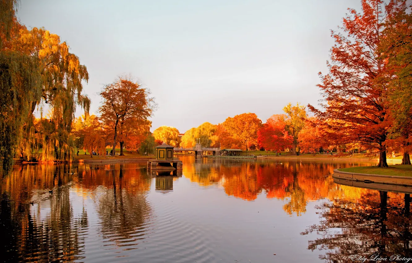 Фото обои осень, деревья, озеро, отражение, беседка