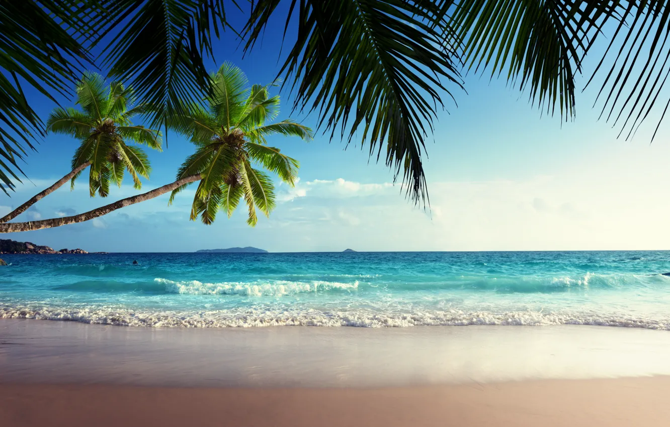 Фото обои песок, море, пляж, небо, солнце, тропики, пальмы, океан