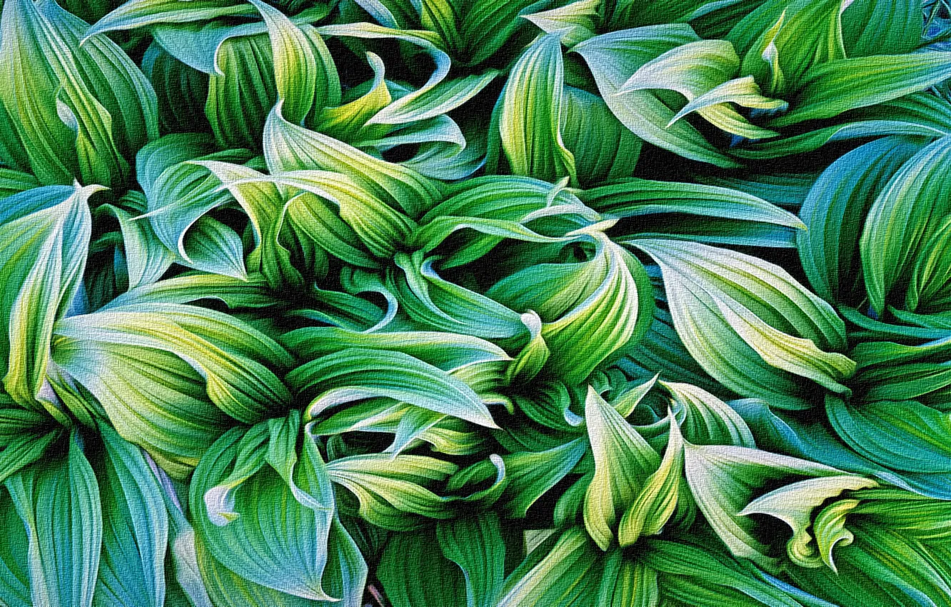 Фото обои листья, абстракция, рендеринг, фон, рисунок, растения, холст, репродукция работы Кристофера Беркета