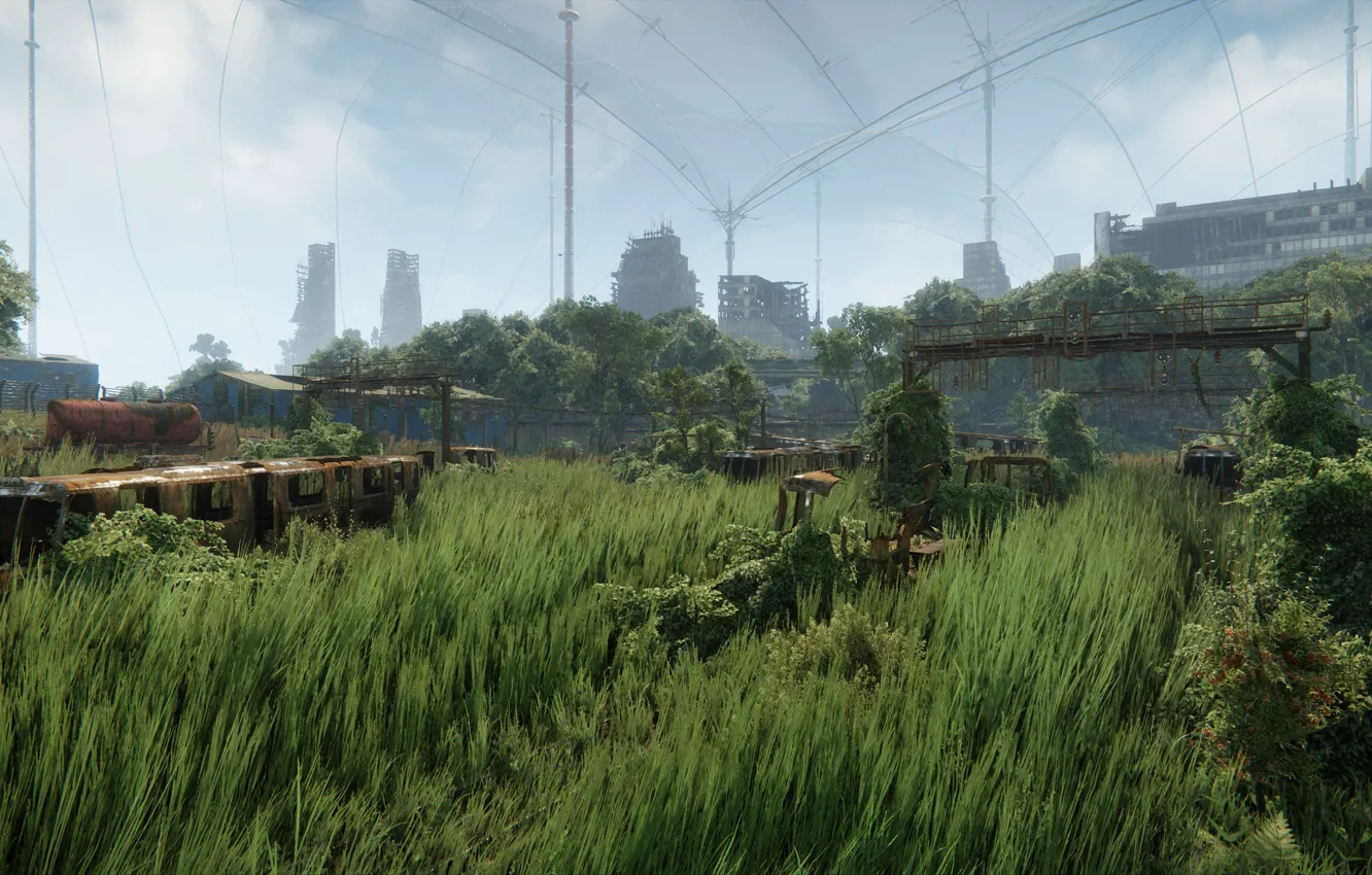 Фото обои трава, графика, Crysis 3, самопал, New York v2.0