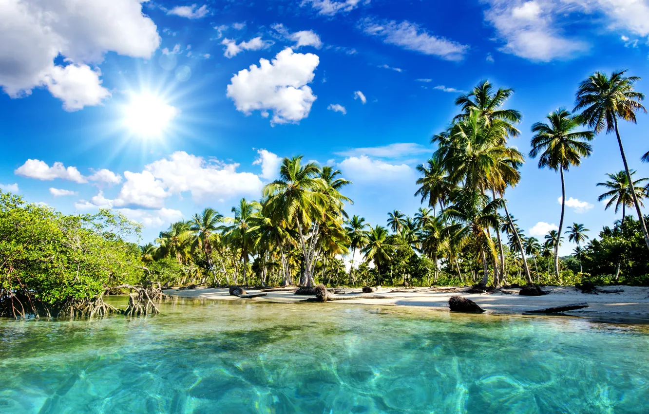 Фото обои море, пляж, небо, солнце, облака, природа, тропики, пальмы
