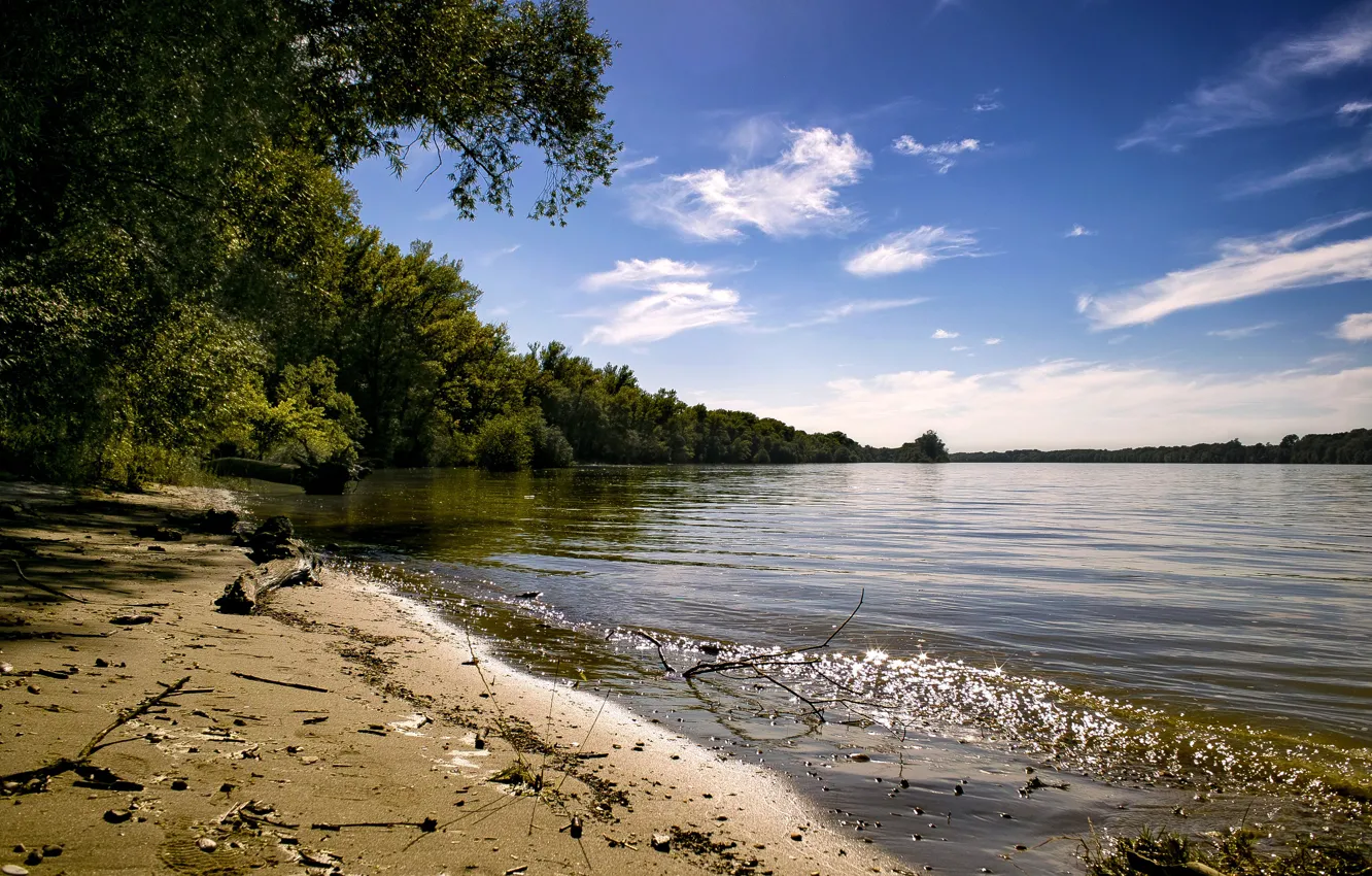 Фото обои summer, forest, river, sky, trees, water, Danube River, Danube