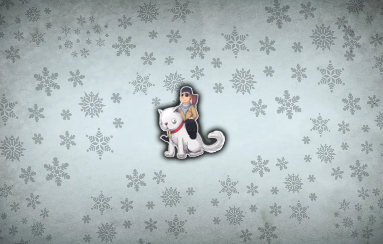 Фото обои серый, котик, снежки