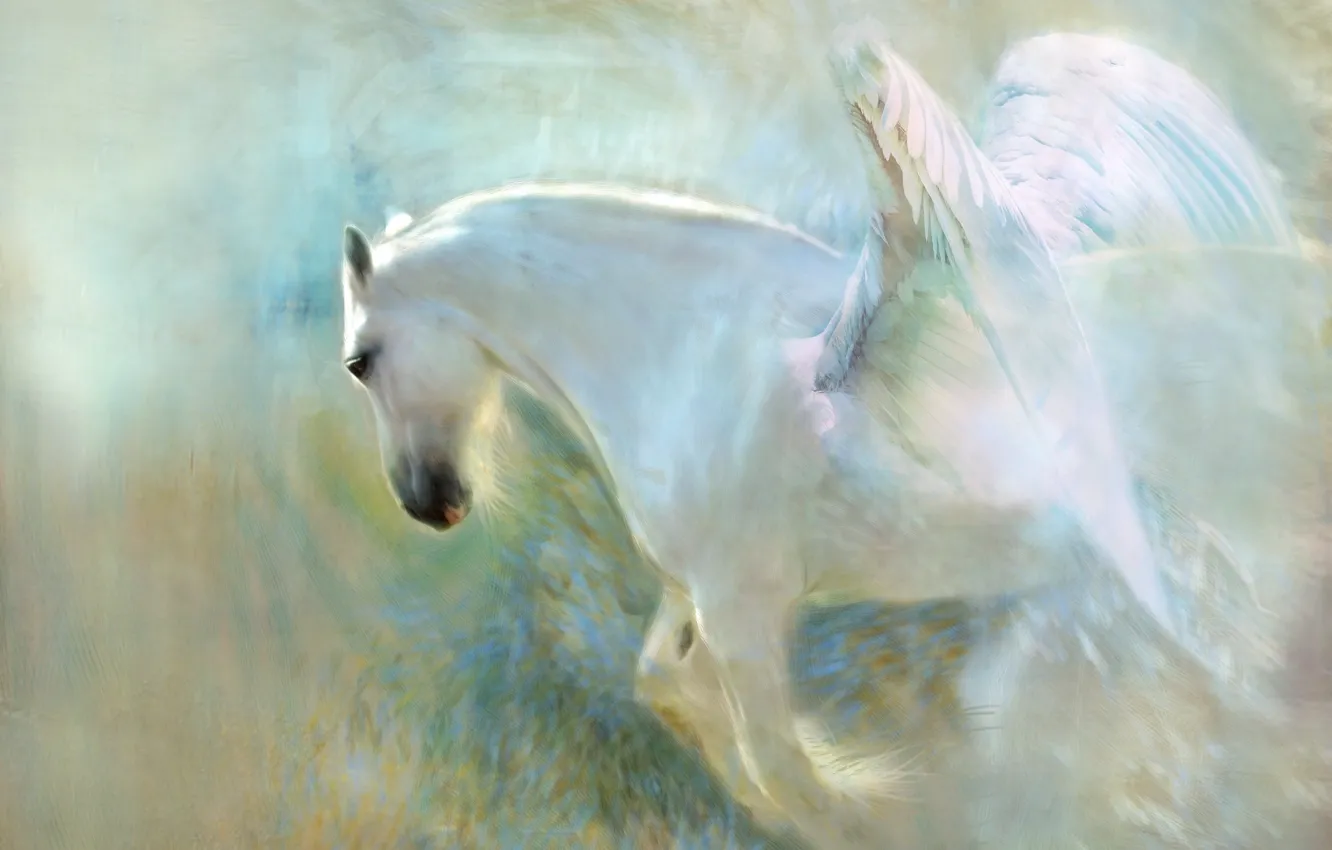 Фото обои белый, морда, свет, полет, фон, конь, лошадь, крылья