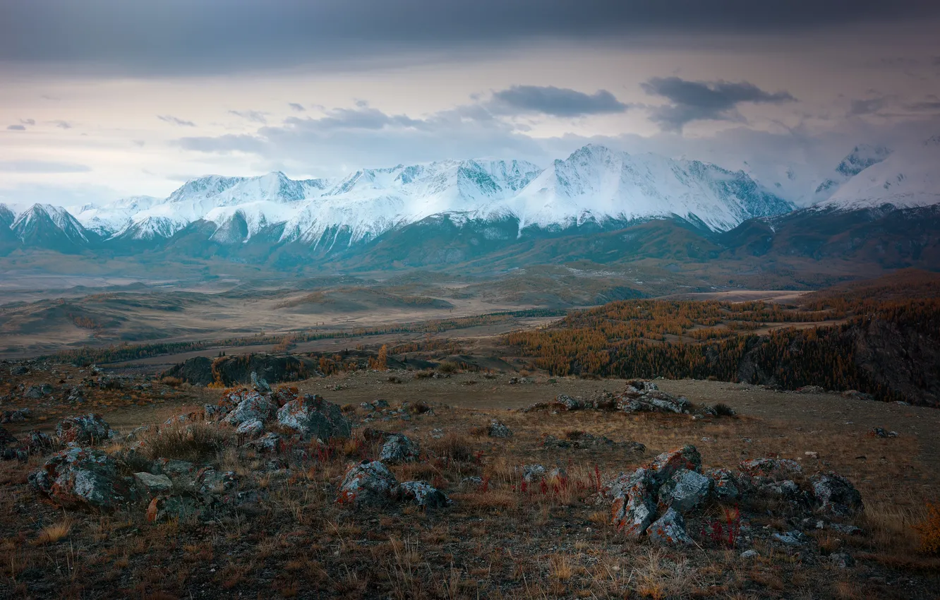 Фото обои горы, камни, горизонт, снега, Диков Рустем, Северочуйский хребет