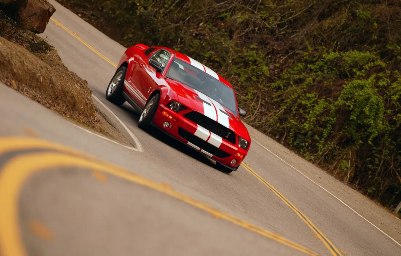 Фото обои Ford, Shelby, Gt500