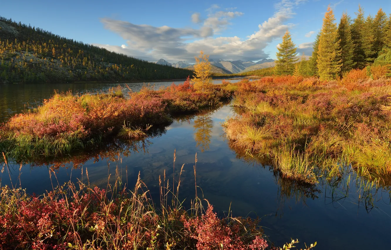 Фото обои осень, пейзаж, горы, природа, озеро, утро, леса, Колыма