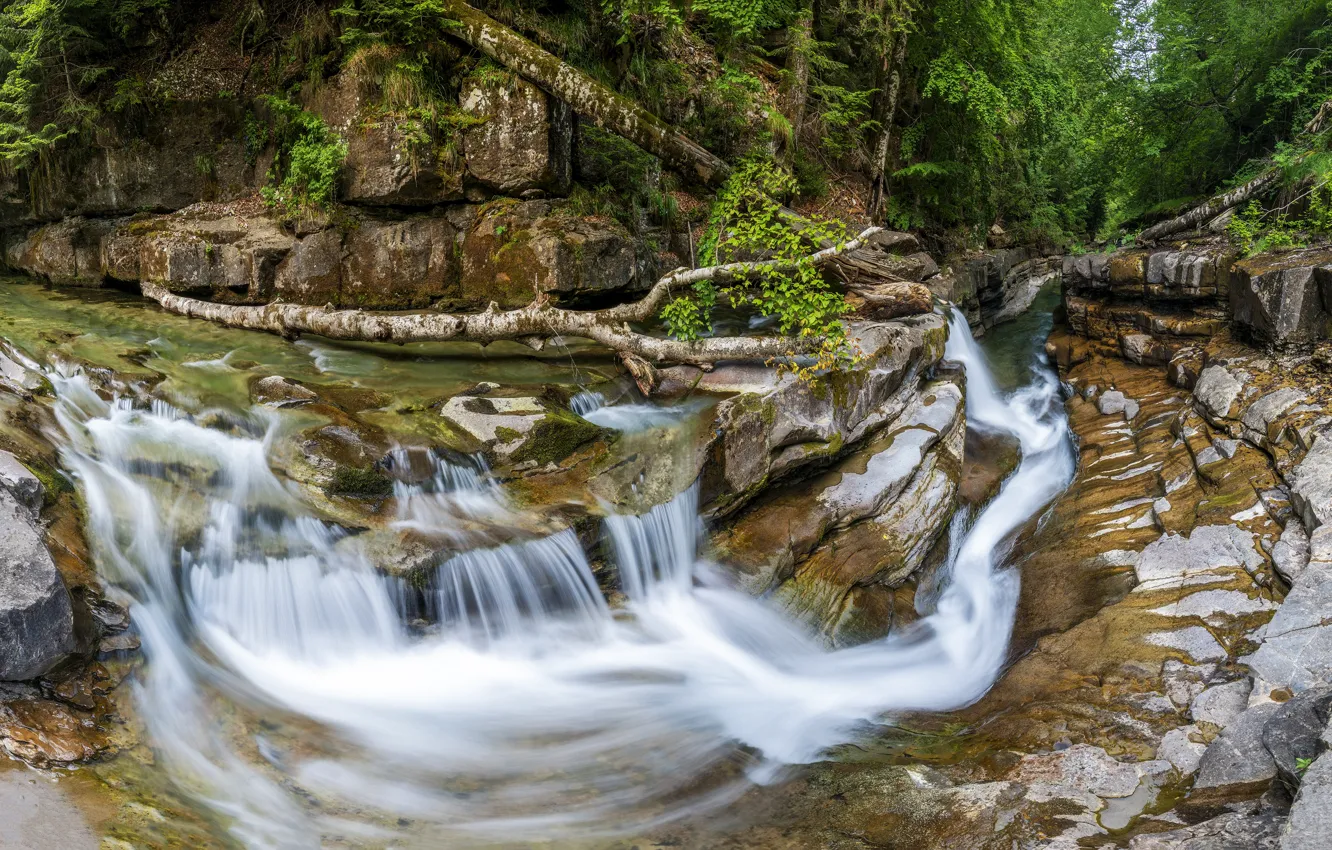 Фото обои лес, камни, скалы, водопад, поток, бревно