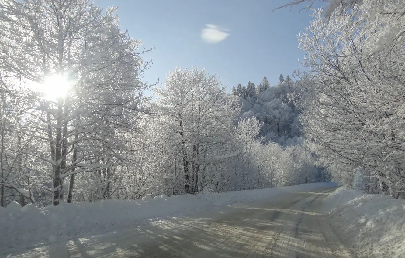 Фото обои зима, дорога, солнце, снег, деревья, Кубань, Лаго-Наки, Akela white