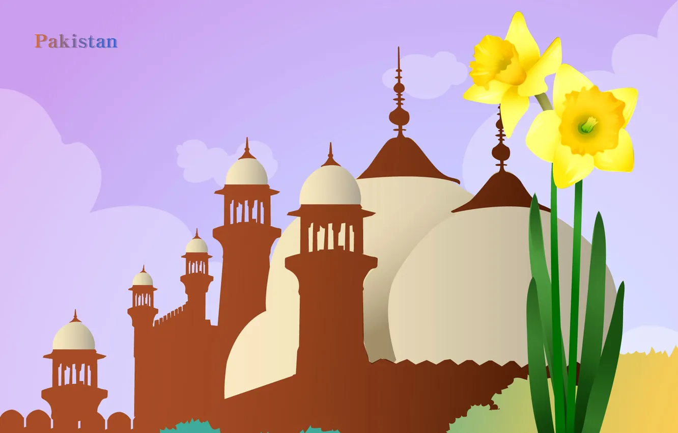 Фото обои цветы, путешествия, мечеть, купол, туризм, страна, государство, Pakistan