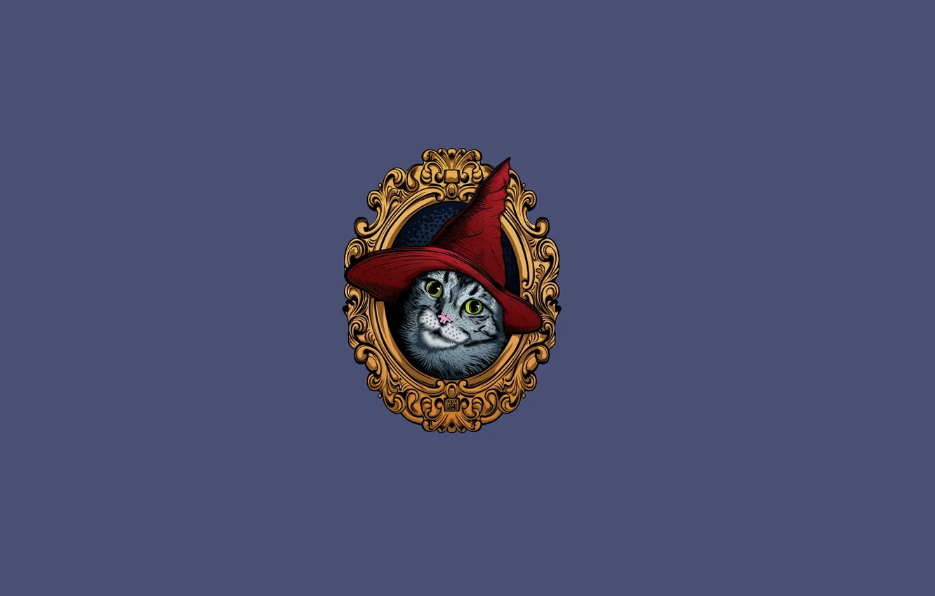 Фото обои кошка, кот, шапка, портрет, минимализм, картина, cat, колпак красный