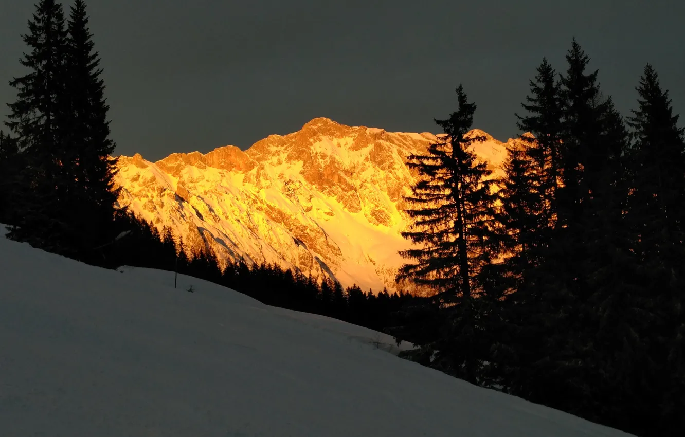 Последней горой. Last Mountain.