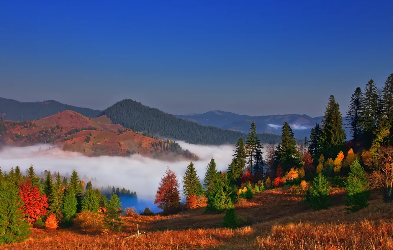 Фото обои осень, небо, деревья, горы, природа, туман, colors, Landscape