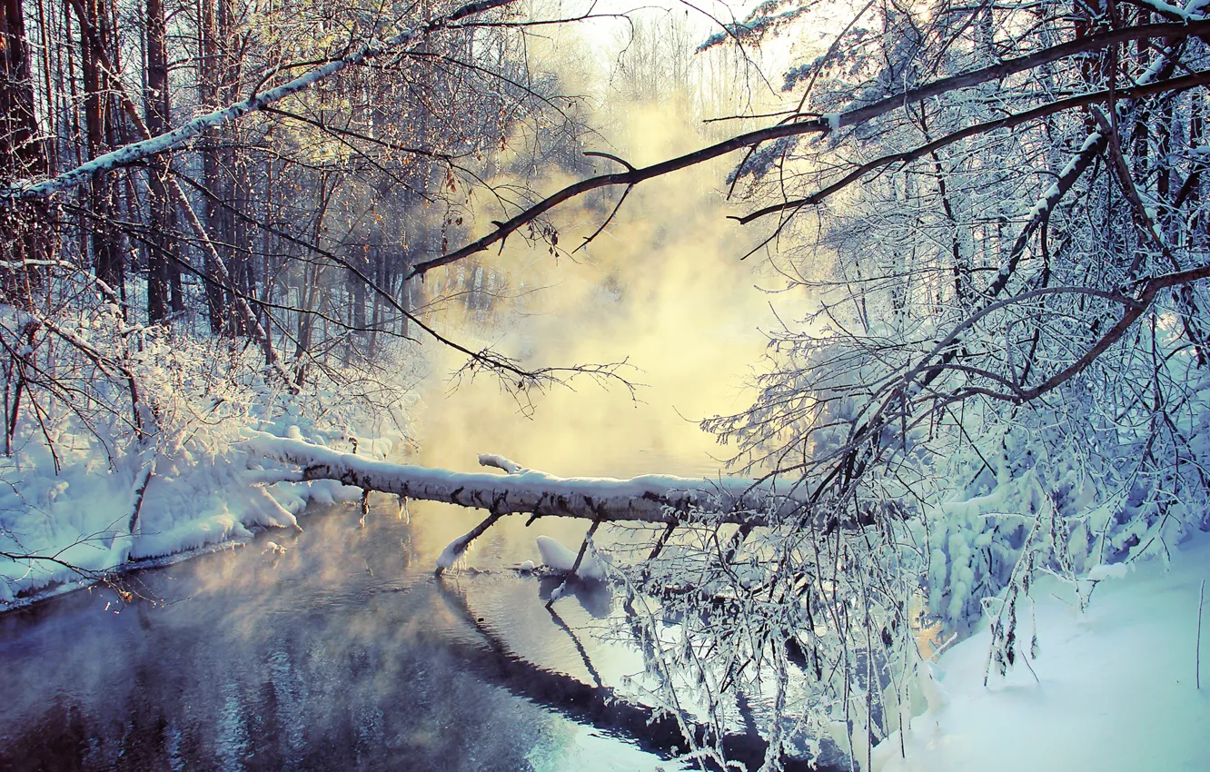 Фото обои зима, снег, ветки, озеро, пар