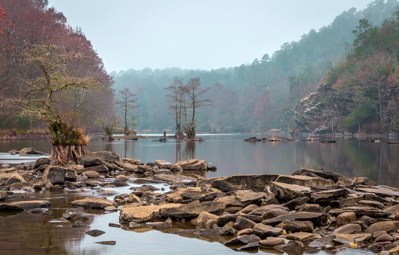 Фото обои лес, деревья, природа, река, Oklahoma, Beavers Bend State Park