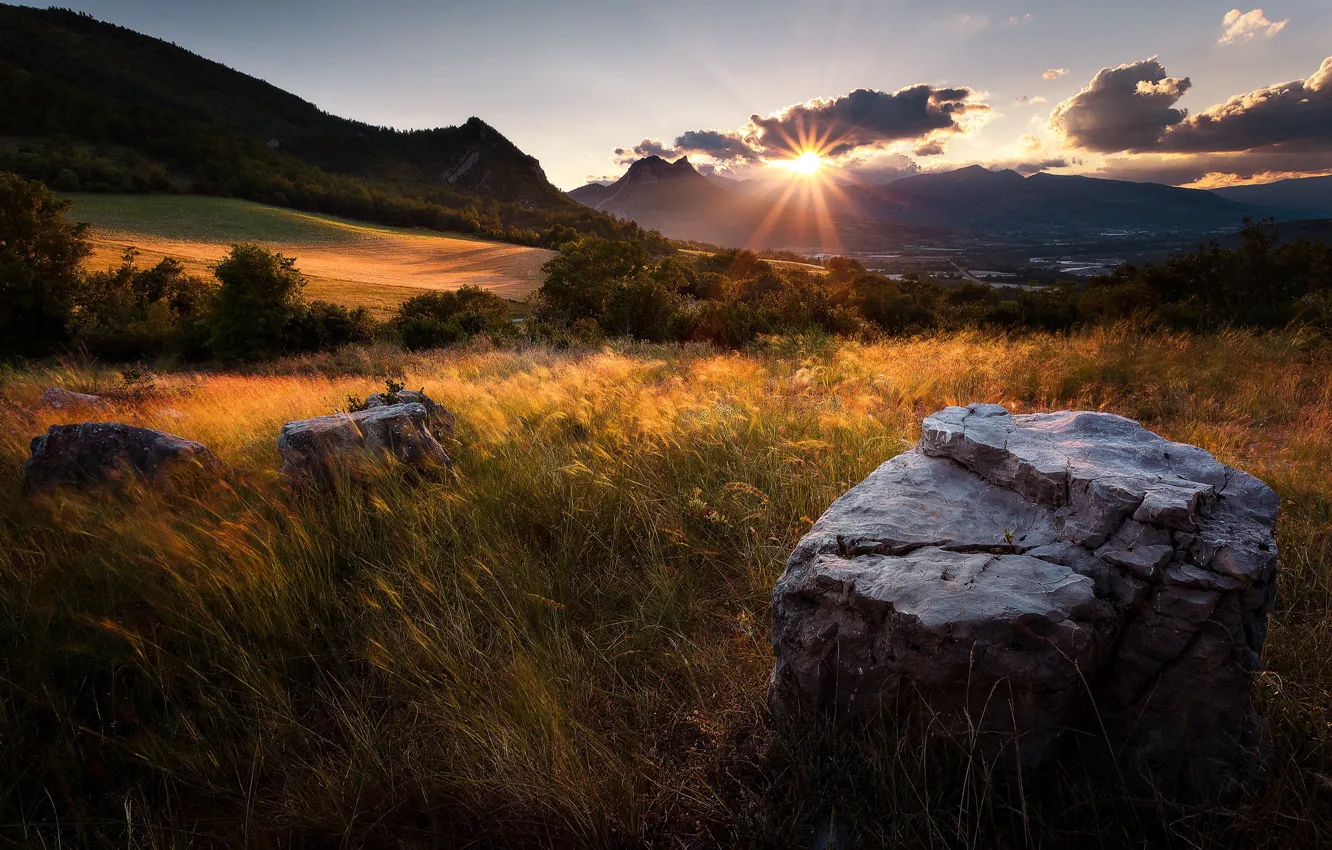 Фото обои поле, трава, камни