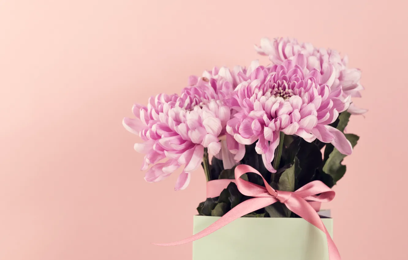 Фото обои цветы, букет, ваза, Хризантемы