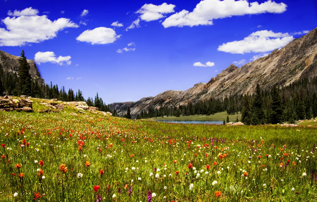Фото обои трава, облака, цветы, горы, озеро, луг