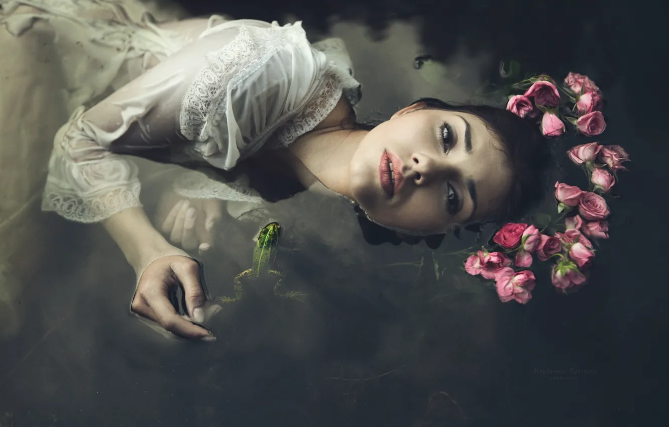 Фото обои вода, цветы, лягушка, розы, платье, венок