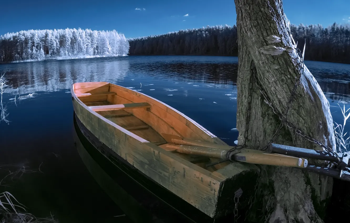 Фото обои деревья, пейзаж, природа, озеро, лодка, леса, берега