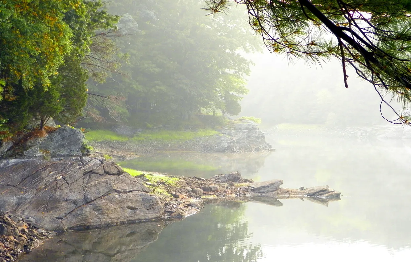 Фото обои туман, озеро, камни, дерево