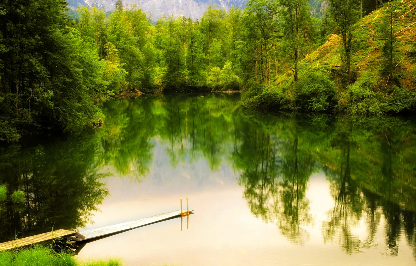 Фото обои лес, деревья, горы, озеро, мостик