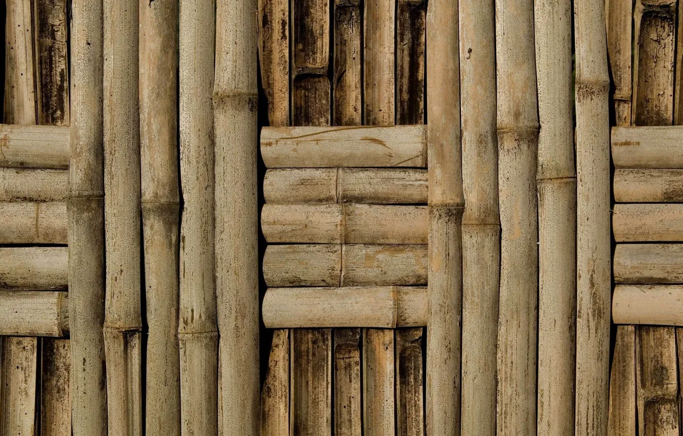 Фото обои wall, pattern, bamboo