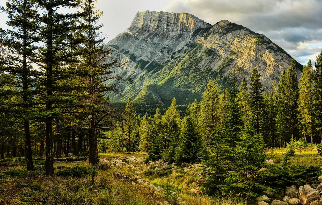Фото обои Banff National Park, Alberta, Canada, Mount Rundle, Early Light