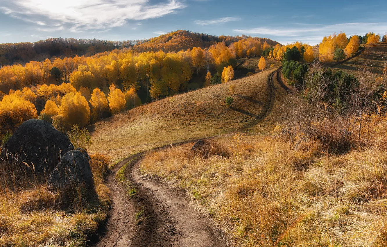 Фото обои дорога, осень, лес, горы, путь