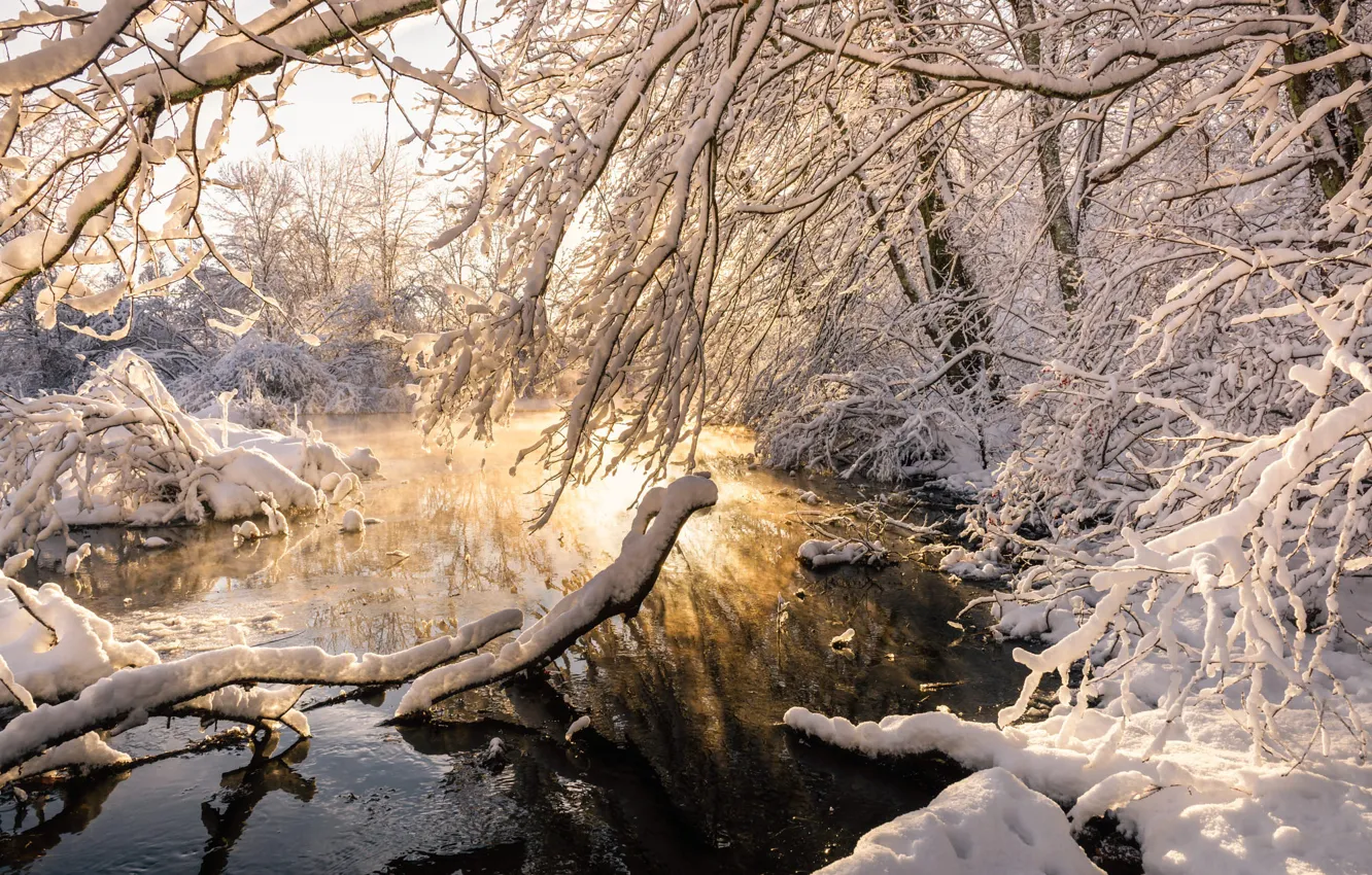 Фото обои зима, вода, снег, деревья, ветки, природа