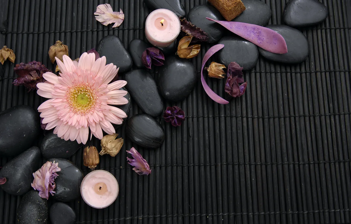 Фото обои цветок, лепестки, flower, Spa, спа, гербера, petals, gerbera