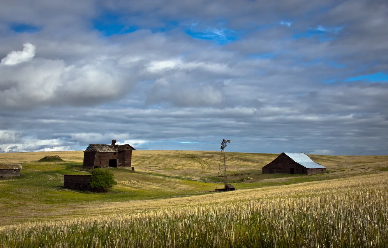 Фото обои поле, пейзаж, ветряк, домики