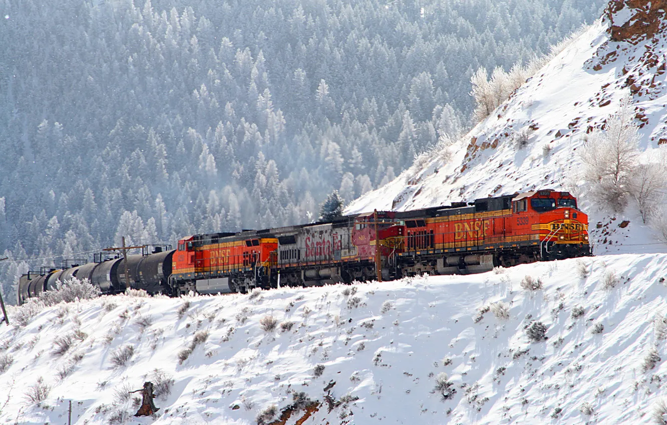 Фото обои зима, лес, снег, поезд