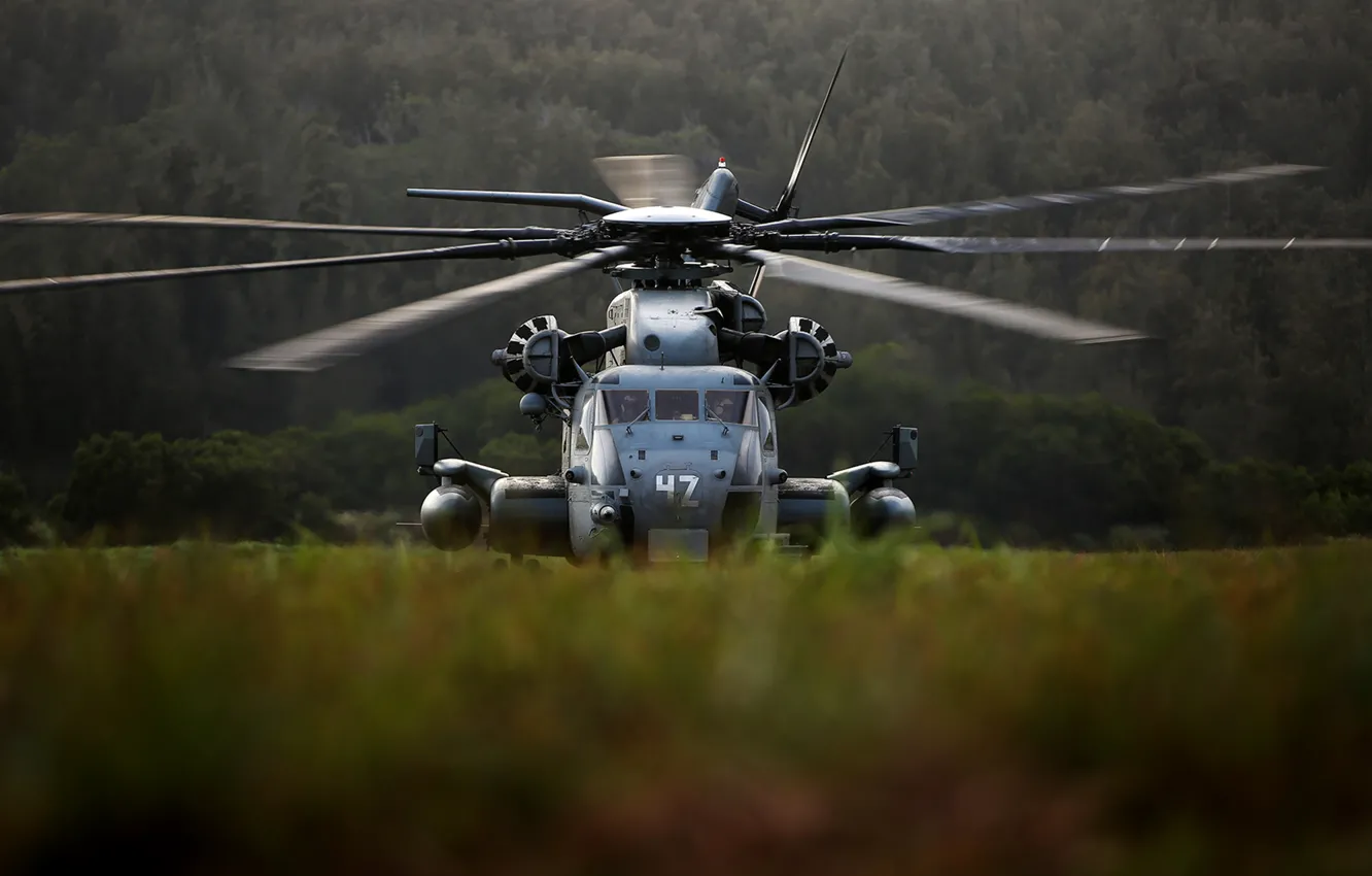 Фото обои вертолёт, военный, Sikorsky, транспортный, тяжёлый, CH-53, Sea Stallion