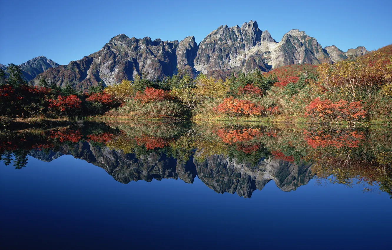 Фото обои осень, горы, озеро, отражение, кусты