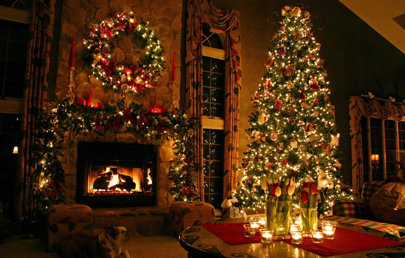 Фото обои елка, новый год, рождество, christmas, tree
