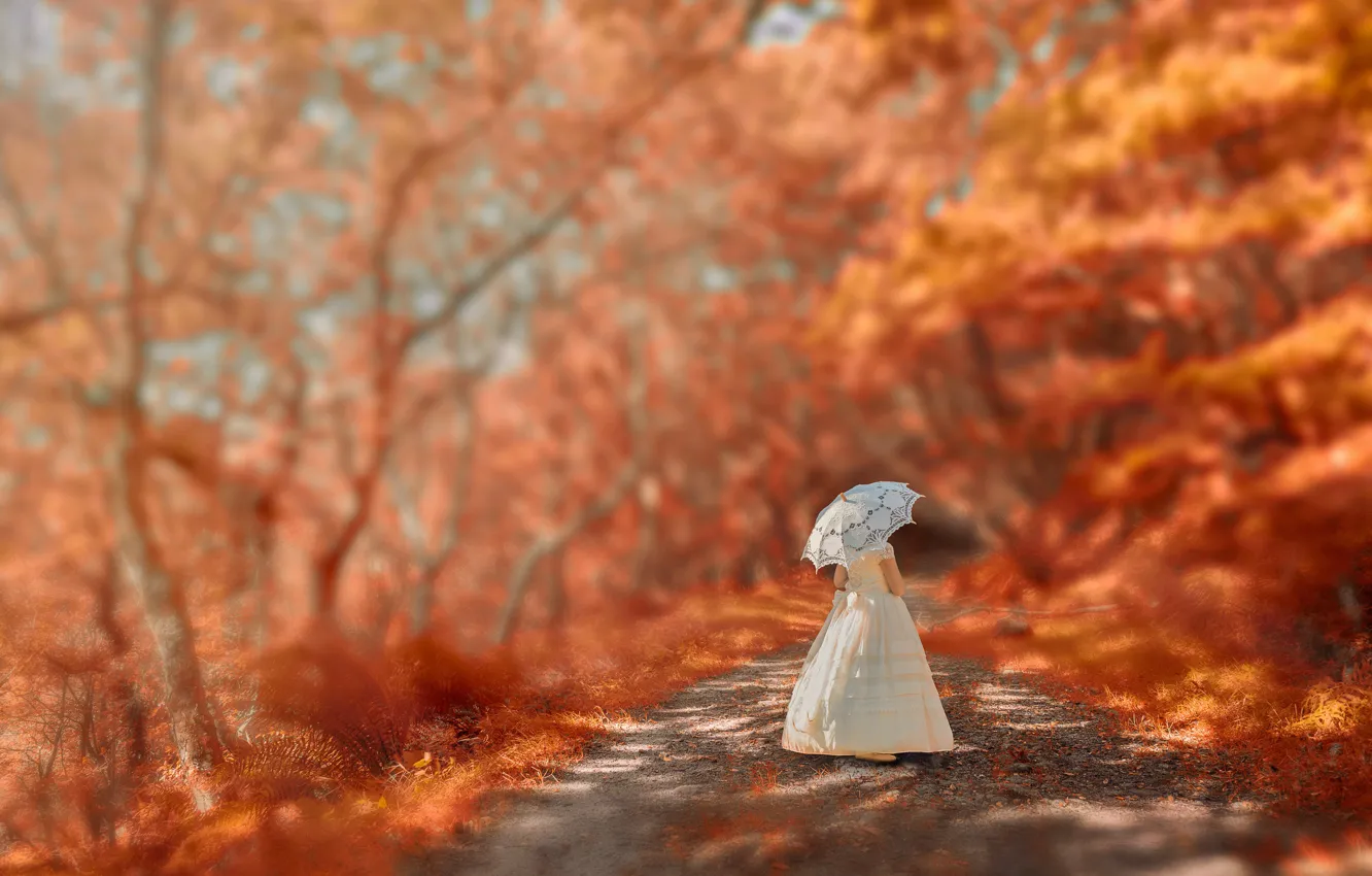 Фото обои осень, зонт, платье, девочка, прогулка