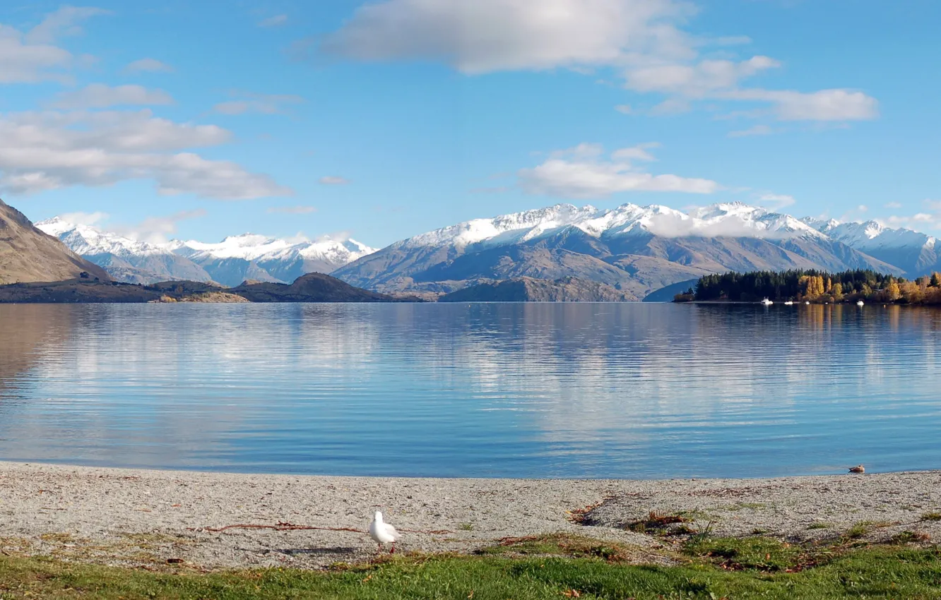 Фото обои горы, озеро, берег, Новая Зеландия, Panoramic, Lake Wanaka