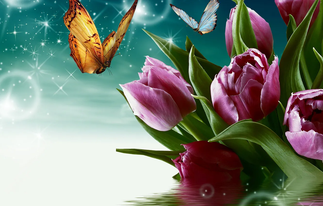 Фото обои вода, цветы, бабочка, тюльпаны
