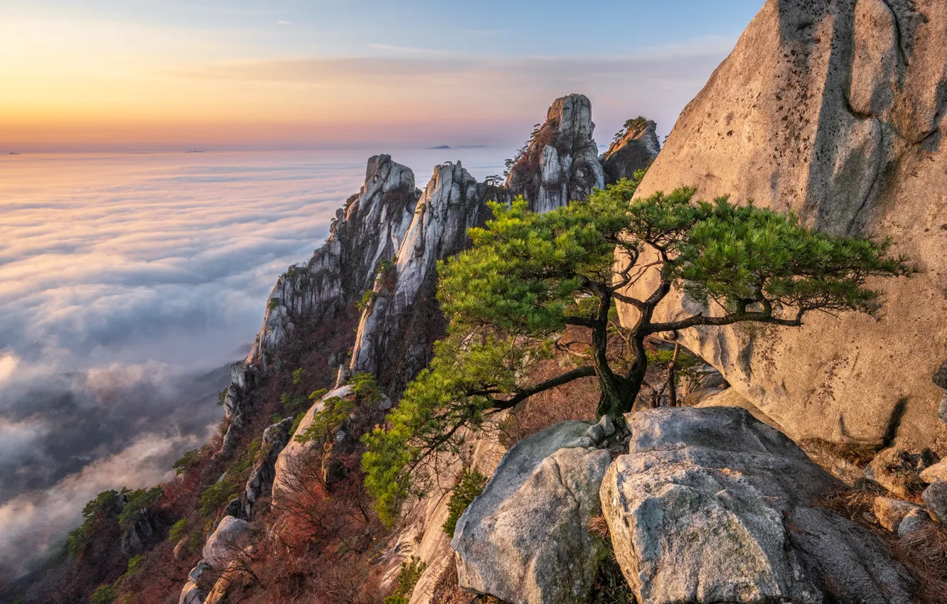 Фото обои небо, облака, природа, дерево, скалы, вид, высота, jae youn Ryu