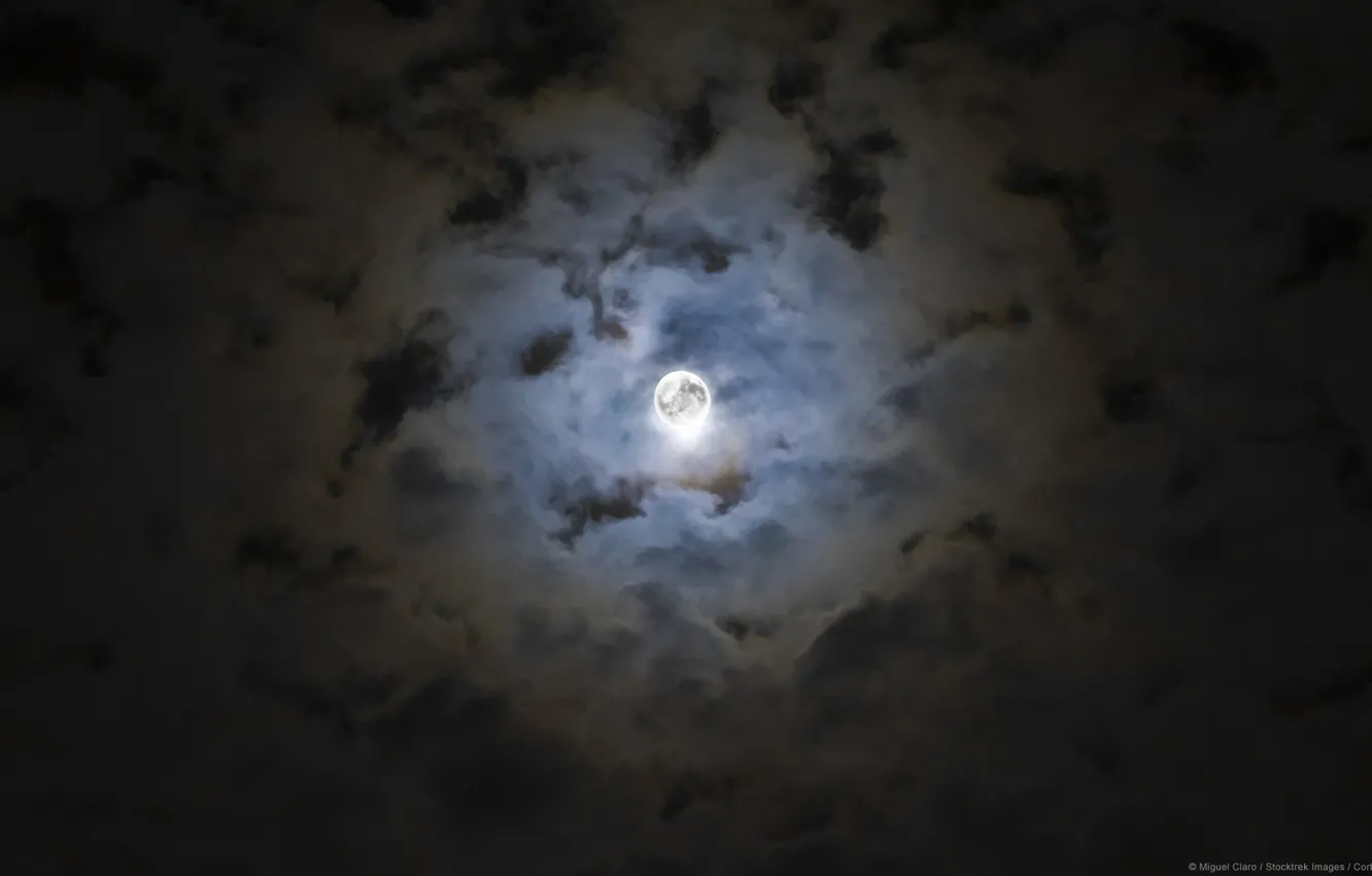 Фото обои небо, облака, ночь, луна