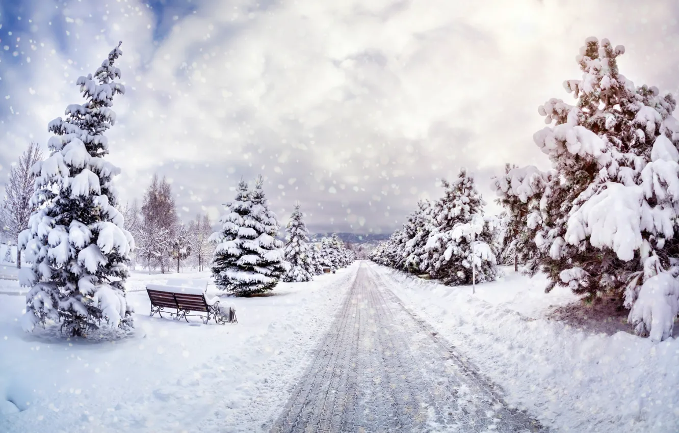 Фото обои зима, небо, снег, деревья, пейзаж, природа