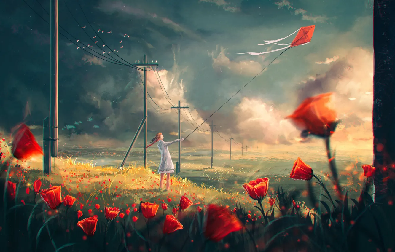 Фото обои поле, девушка, облака, цветы, столбы, змей, воздушный